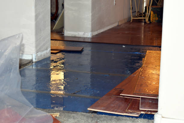 Professional Basement Flood Cleanup technician working in Rockdale, IL
